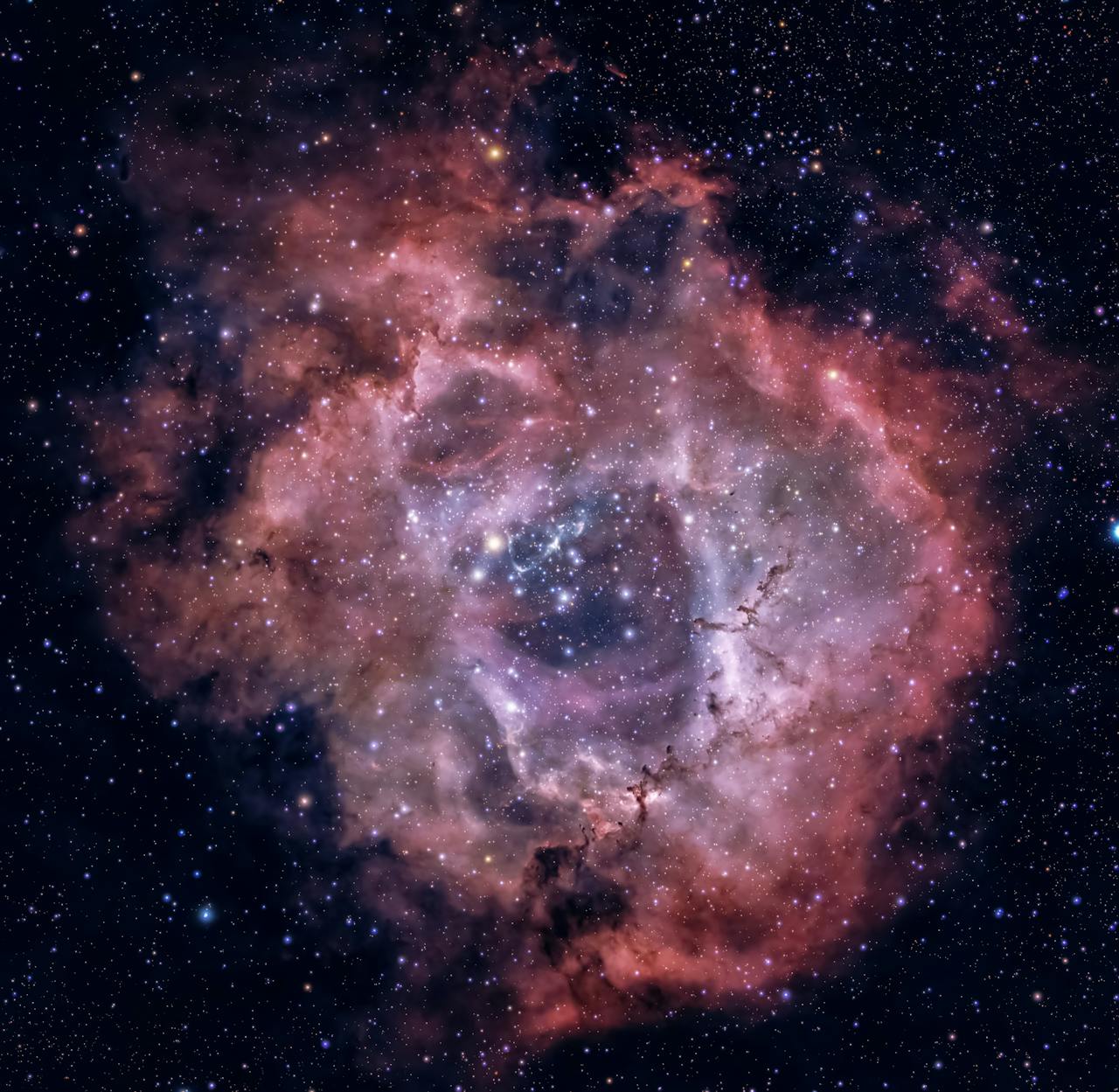 Stunning image of the Rosette Nebula showcasing vibrant colors and cosmic details.
